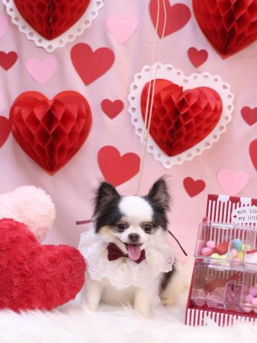 20240206リアンくん